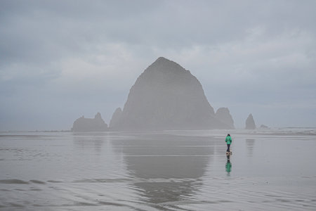 A woman walking her dog on a foggy morning at the beach. A vauge view of Haystack Rock in the background. Her bright coat stands out against the gray background.の写真素材