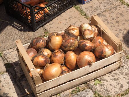 onions in wooden boxの写真素材