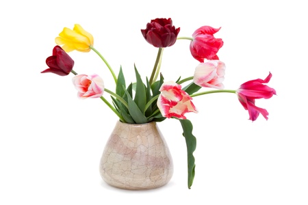bouquet of tulips in a vase isolated on whiteの写真素材