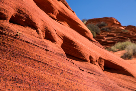 In this classic desert scene in Coyote Buttes of hte Utah Arizona border, a small lizard rests in the sunshine on a red sandstone rock face looking toward the camera. Behind the rock cliff is another sandstone feature and a sand dune with sage and other dの写真素材