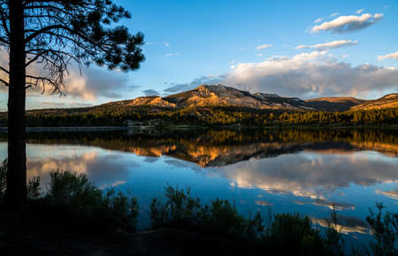 Perfectly flat, calm lake reflecting the red rock cliff above at sunset. Silhouette of tree and...