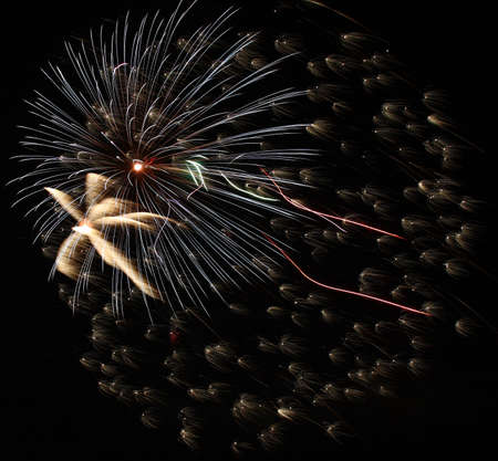 Fireworks in Arthur, IL 2006