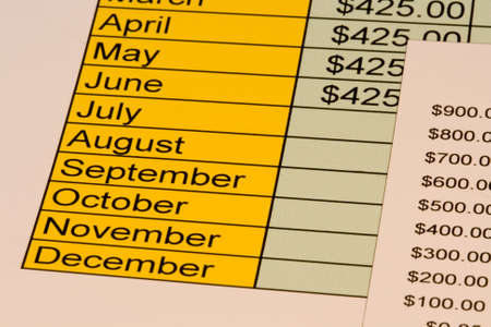 Chart for personal budget with expenses for each month