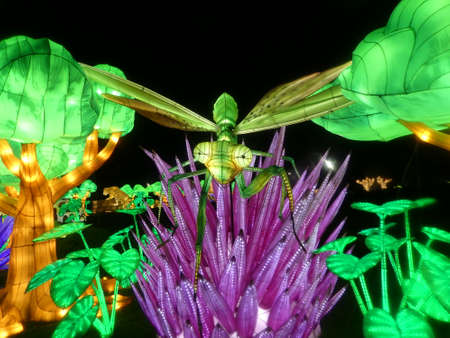 Wiltshire, UK - December 15 2018: The Festival of Light at Longleat depicting a story of 2 young travellers travelling through time. Annual christmas light show.のeditorial素材