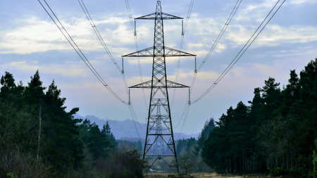 Electricity pylons in England, UK, running through the forest. Taken straight on, perpendicular
