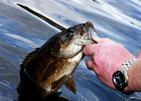 fisherman pulling a bass from the lake by the lipの写真素材