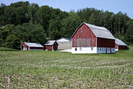 vintage family farm with red barn and out buildings against a tree backgroundの写真素材