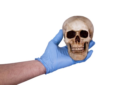 human skull held by a gloved hand isolated  over a white background with a clipping path at original sizeの写真素材