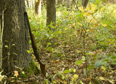 shotgun leaning against a tree in a fall season woods