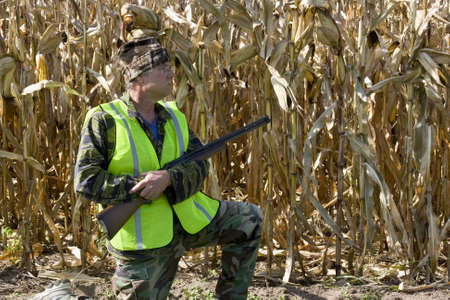 hunter in a saftey vest with a shotgun with a corn field    in the backgroundの写真素材