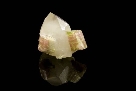 quartz crystal with tourmaline attached over a black background with reflection and clipping pat at original sizeの写真素材