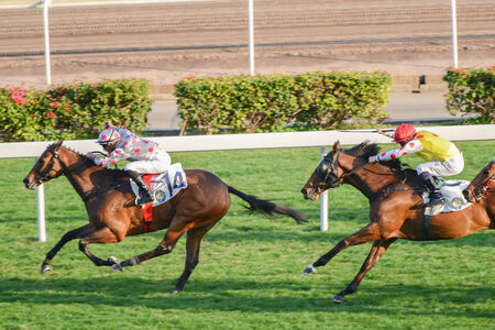 Hong Kong, China - February 2, 2014  Horse racing in Shatian racing field of Hongkong jockey club on February 2, 2014 in Hong Kong のeditorial素材