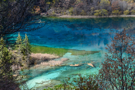 colorful lake and forset in autumn at jiuzhai valley national park, China.の写真素材