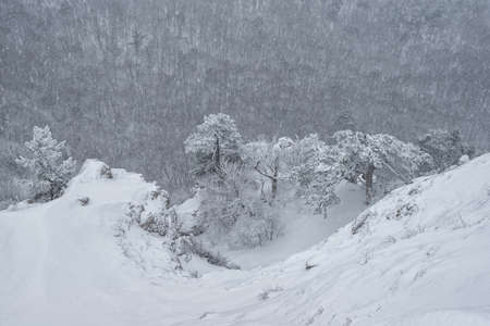 Snowfall in the Crimean mountains, view from the cliffの写真素材