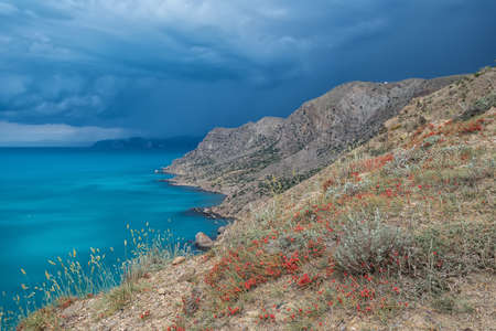 Landscape of the wild coast of Crimea with a turquoise sea, red ephedra berries in the foreground and dark storm clouds in the blurred backgroundの写真素材