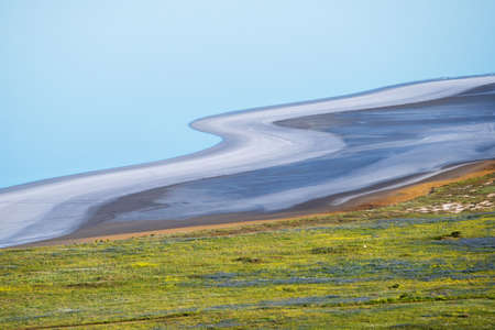 Blue clay on the shore of a salt lakeの写真素材