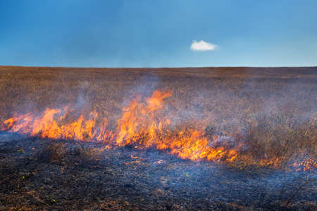 Fire in the dry crimean steppeの写真素材