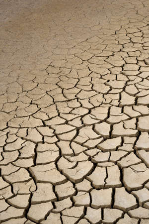 View of cracked dried mudの写真素材