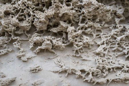 Honeycomb weathering of white marlの写真素材