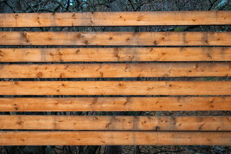 Fence made of horizontal pine boards with dark forest backgroundの写真素材