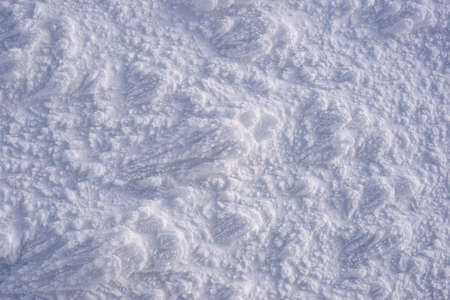 Texture of frost and snow on the ground in the mountainsの写真素材