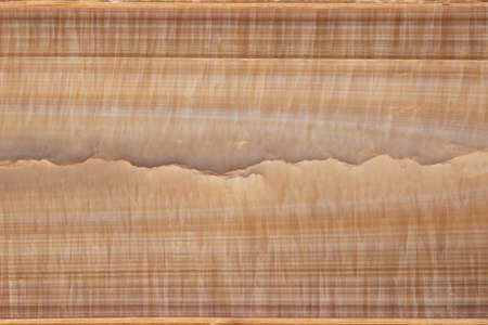 Close up texture of a slab of fossilized belemnite substituted with calcite onyxの写真素材