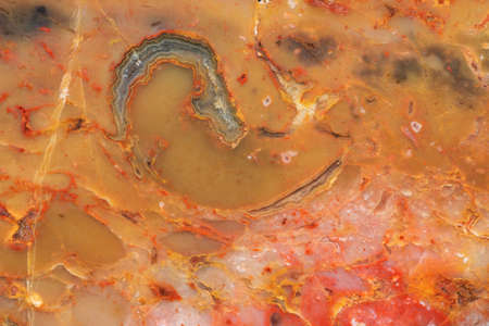 Closeup texture of red and yellow Jasper with the agate inclusionの写真素材