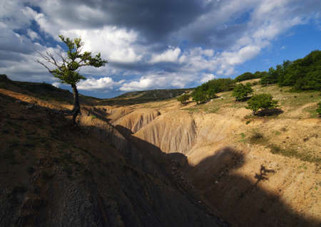 Landscape of the Crimean mountains with a beech tree in the foregroundの写真素材