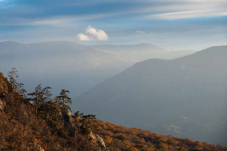 Yellow autumn slope on the mysty mountains backgroundの写真素材