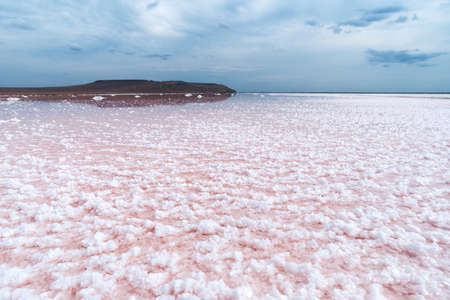 Salt crystals at the bottom of a pink salt lakeの写真素材