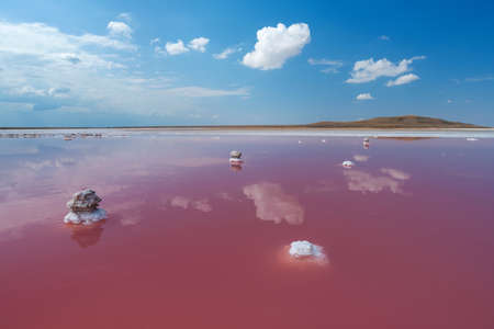 Pink salt lake with white clouds reflectionの写真素材