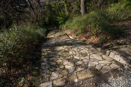 A path paved with stone to an abandoned and overgrown part of the parkの写真素材