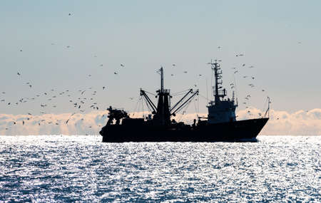 Silhouette of a fishing boat surrounded by seagulls in the shining seaの写真素材