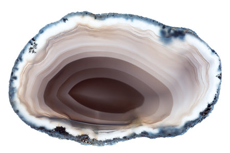 A back-lit slice of light brown concentrically layered agate, isolated on a white backgroundの写真素材