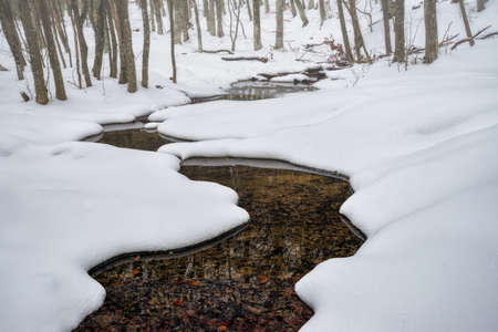 A small stream in a winter forest with soft smooth snow banks