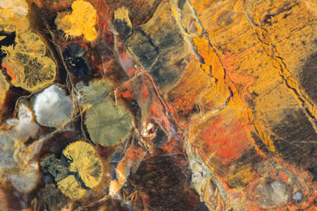 Natural stone background. A full-screen close-up texture of a brown-orange-yellow silicified...