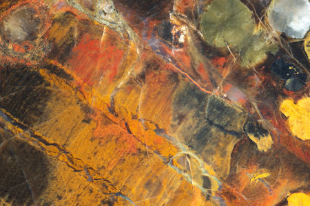 Natural stone background. Full-screen close-up texture of brown-orange-yellow silicified petrified wood with holes of woodworms and translucent chalcedony in cracks, from the Crimea.の写真素材