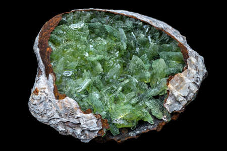 Green crystals of anapaite in a fossilized seashell.の写真素材
