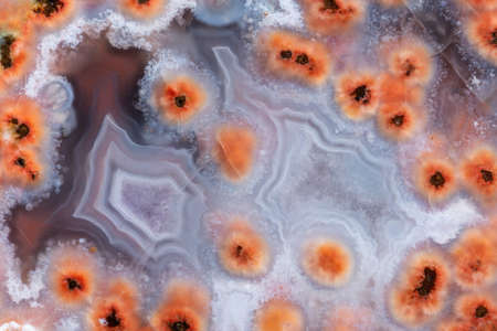 Full-screen stone texture. Close-up view of white striped agate with inclusions of orange zeolite bundles.の写真素材
