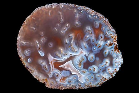 A polished slice of red-blue moss agate, isolated on a black background.の写真素材