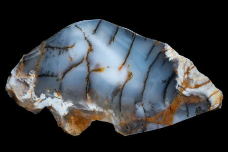 A specimen of dendrite agate from Kazakhstan, isolated on a black background.の写真素材