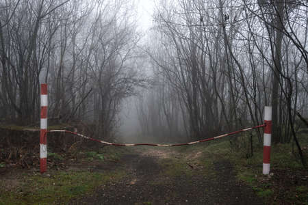 Road through the foggy forest blocked by a red-white metal cable fence.の写真素材