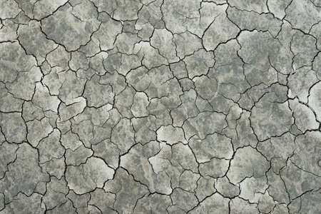 Full-screen texture of cracked earth, top view.の写真素材