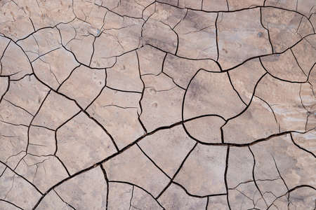 Full-screen texture of cracked dry brown earth.の写真素材