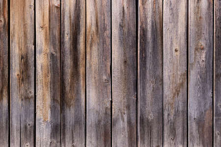 Full-screen texture of vertical old pine wooden boards.の写真素材