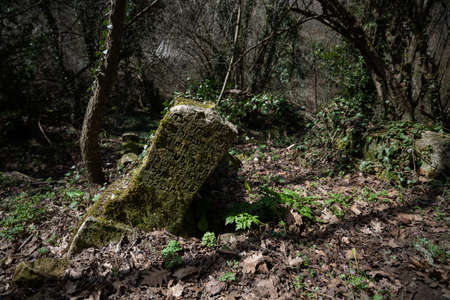 A leaning mossy gravestone in an ancient cemetery in the spring forest.の写真素材