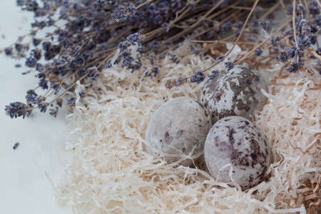 Paschal colored eggs in the nest on white background with lavender twings. Easter decoration.