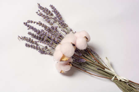 Bouquet of dry lavender and cotton flower on white background. Alternative bouquet for loversの写真素材