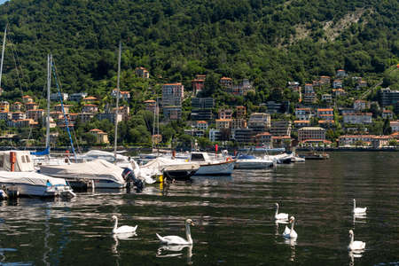 Beautiful lake Como in sunny day with white swans, yachts and mountains with houses on background
