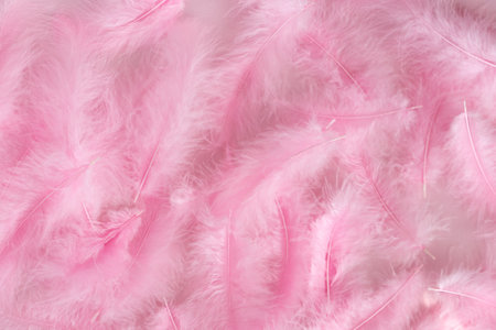 pink feathers background, soft pastel color, soft focus.の写真素材